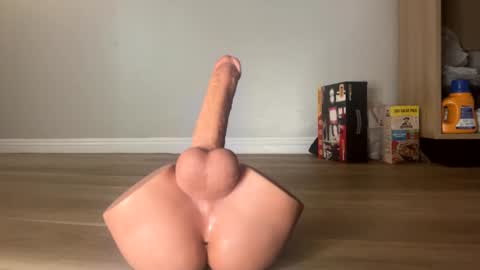 nocturnalhabits online show from 26, 10, 2025