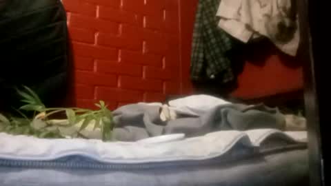 nocturnus1980 online show from 23, 9, 2025