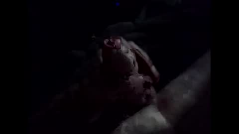 nolplus online show from 21, 10, 2025