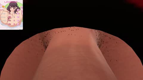 Sofi online show from 15, 12, 2025