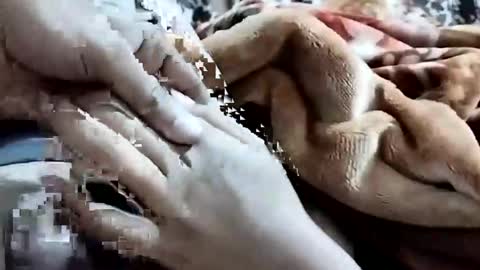 Snapshot of nooby942461 chatting on 1, 2, 2026 sim nib online show from 1, 2, 2026