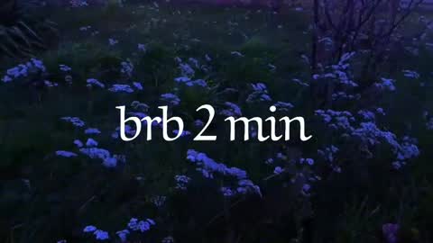 Noori online show from 9, 4, 2026