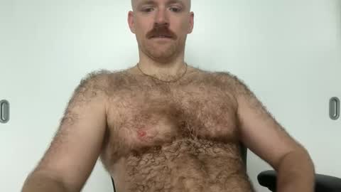 No Plan online show from 8, 1, 2026