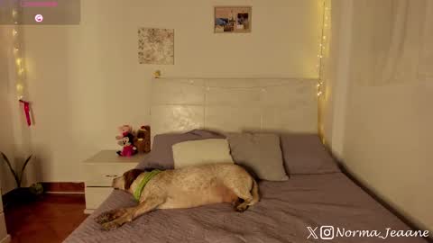 Norma Jeaane online show from 4, 10, 2025