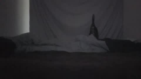 norty450 online show from 10, 2, 2026