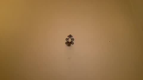 noscandal online show from 21, 2, 2025