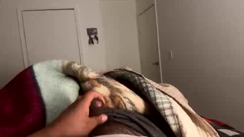 se le perdio algo perra hp online show from 15, 1, 2026