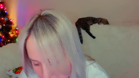 Snapshot of not_nakedcat chatting on 18, 12, 2024 hi glad to chat online show from 18, 12, 2024