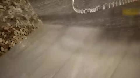 notme710 online show from 18, 3, 2026