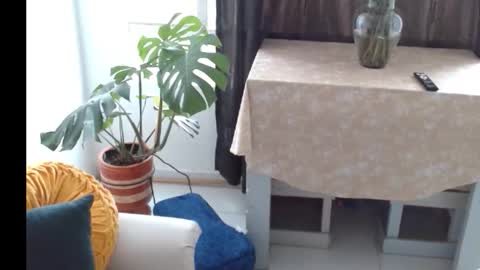 novaperotti online show from 5, 11, 2025