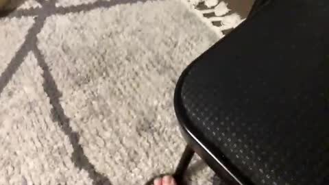 Snapshot of nursesteve chatting on 1, 11, 2025 nursesteve online show from 1, 11, 2025