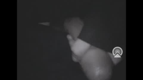 Snapshot of nympham chatting on 4, 4, 2026 nympham online show from 4, 4, 2026