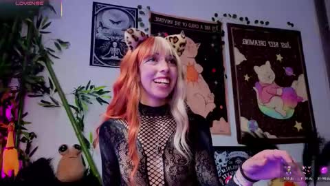   online show from 21, 2, 2026