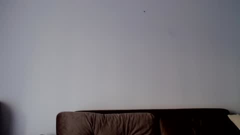 o_r_b_i_t online show from 19, 12, 2024