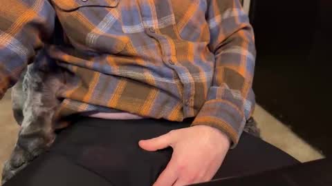 object36 online show from 30, 12, 2024