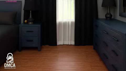 Obsidian stallion online show from 16, 12, 2025