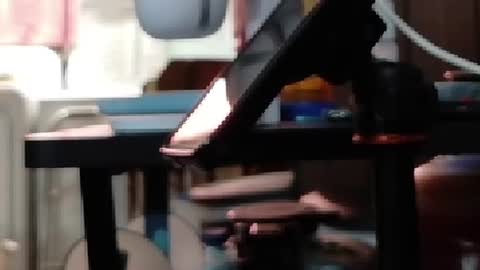Snapshot of obsidian_stallion chatting on 19, 7, 2026 Obsidian stallion online show from 19, 7, 2026