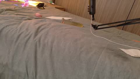 Your Ocean baby 3 online show from 11, 2, 2025