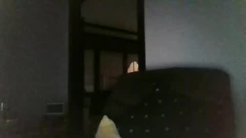 Officer online show from 26, 12, 2024