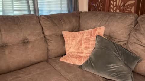 Tams online show from 9, 9, 2025