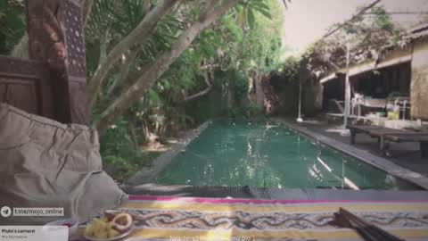 Snapshot of ohmymojo chatting on 11, 11, 2025 Mo online show from 11, 11, 2025