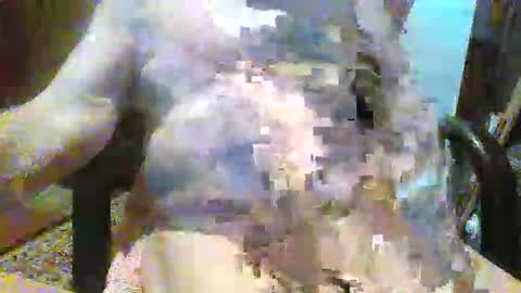 William online show from 14, 12, 2025