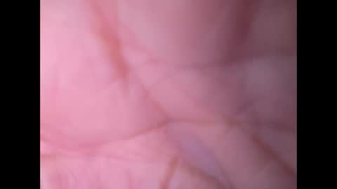 oldaddy2 online show from 21, 9, 2025