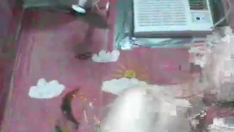 oldbuthorny62 online show from 23, 11, 2025