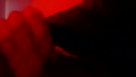 Snapshot of oliveoil67 chatting on 8, 2, 2026 oliveoil67 online show from 8, 2, 2026