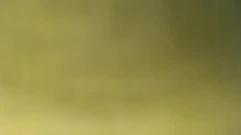 oliver_laid_2023 online show from 30, 11, 2025