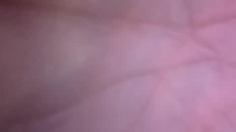 Big Dino Dick online show from 12, 4, 2026