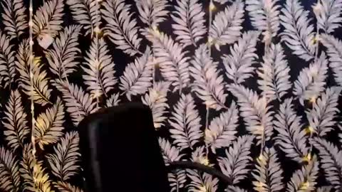 Kelly online show from 6, 1, 2025