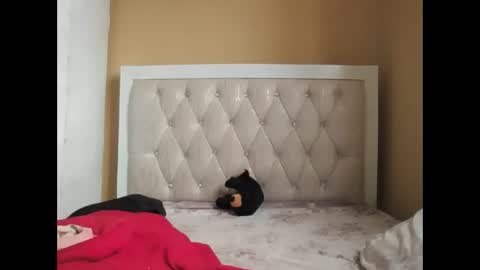 olwami4 online show from 22, 2, 2026