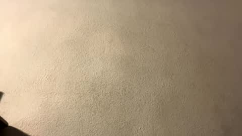 Snapshot of omgyesgurl chatting on 28, 9, 2025 amy 3 online show from 28, 9, 2025