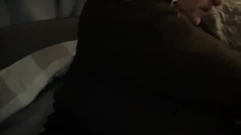 onthedlhere online show from 24, 12, 2024