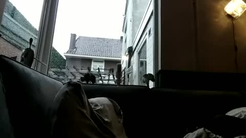 Openminded online show from 30, 12, 2024