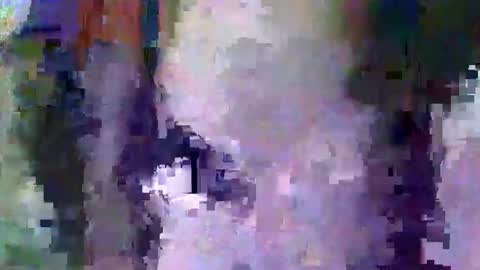Snapshot of oretrail chatting on 11, 2, 2025 oretrail online show from 11, 2, 2025