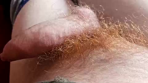 Snapshot of orgazm1212 chatting on 6, 4, 2026 orgazm1212 online show from 6, 4, 2026