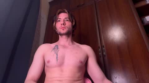 origamicat online show from 20, 3, 2026