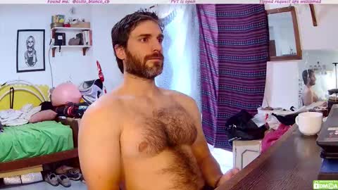 Osito Blanco online show from 4, 12, 2025