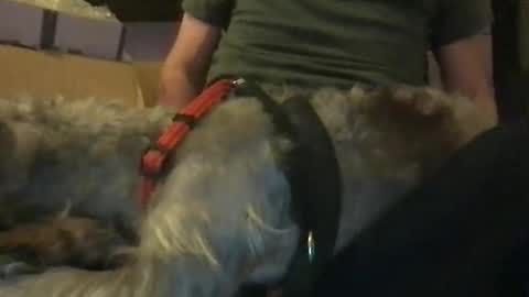 Snapshot of ossignol_xxx chatting on 16, 1, 2025 rossignol online show from 16, 1, 2025