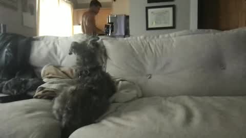 Snapshot of ossignol_xxx chatting on 13, 9, 2025 rossignol online show from 13, 9, 2025