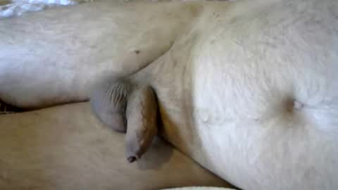 ovid77 online show from 24, 9, 2025