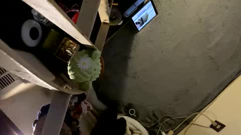Snapshot of oyeblancki chatting on 3, 1, 2025 CoCreatorBlancki online show from 3, 1, 2025
