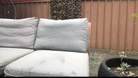 Snapshot of ozsurferboy773375 chatting on 27, 9, 2025 Hrny aussie surfer online show from 27, 9, 2025