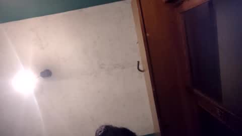 pablo6234516161 online show from 20, 5, 2026