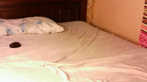 Pacie online show from 22, 11, 2025