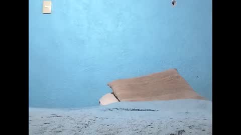 packo7777 online show from 6, 3, 2026