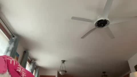 Snapshot of paisleysnowxo chatting on 29, 10, 2025 paisleysnowxo online show from 29, 10, 2025