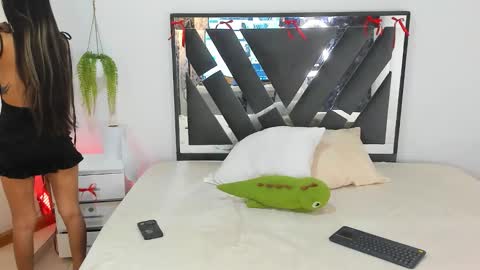 palechor online show from 15, 2, 2026